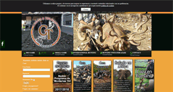 Desktop Screenshot of cuestatoledano.com